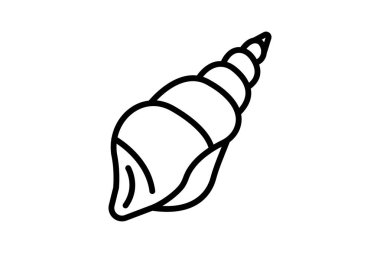 Deniz kabuğu, vektör, piksel mükemmel, illüstratör dosyası