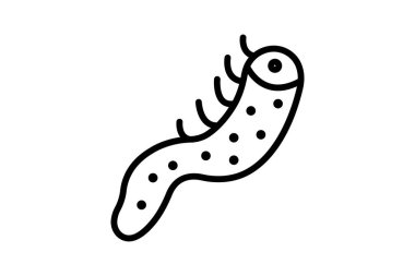 Deniz hıyarı, vektör, piksel mükemmel, illüstratör dosyası