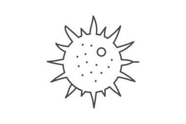 Deniz kestanesi, vektör, piksel mükemmel, illüstratör dosyası