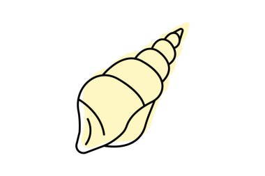 Deniz kabuğu, vektör, piksel mükemmel, illüstratör dosyası