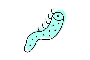 Deniz hıyarı, vektör, piksel mükemmel, illüstratör dosyası