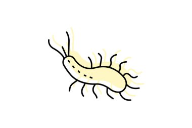 Deniz Sümüklüböceği, vektör, piksel mükemmel, illüstratör dosyası