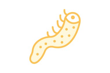 Deniz hıyarı, vektör, piksel mükemmel, illüstratör dosyası