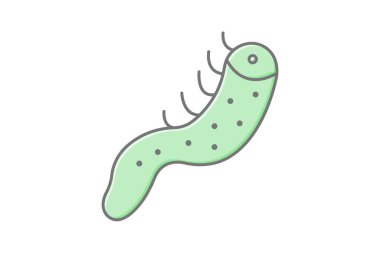 Deniz hıyarı, vektör, piksel mükemmel, illüstratör dosyası