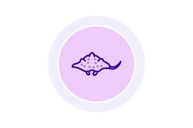 Wobbegong, vektör, piksel mükemmel, illüstratör dosyası