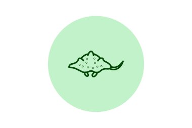 Wobbegong, vektör, piksel mükemmel, illüstratör dosyası