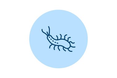 Deniz Sümüklüböceği, vektör, piksel mükemmel, illüstratör dosyası