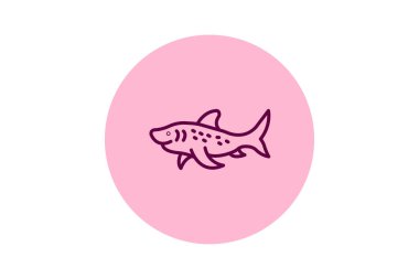 Zebra Köpekbalığı, vektör, piksel mükemmel, illüstratör dosyası