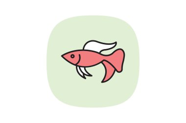 Betta Balığı, vektör, piksel mükemmel, illüstratör dosyası