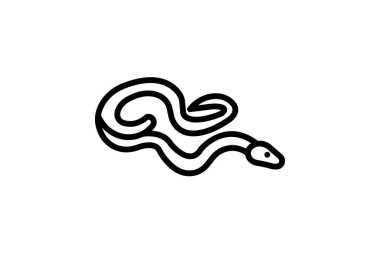 Kırmızı Kuyruklu Boa, vektör, piksel mükemmel, illüstratör dosyası