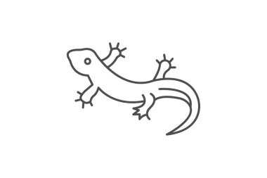 Ateş Semenderi, vektör, piksel mükemmel, illüstratör dosyası