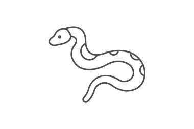 Birmanya Python, vektör, piksel mükemmel, illüstratör dosyası