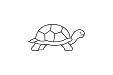 Çöl Kaplumbağası, vektör, piksel mükemmel, illüstratör dosyası