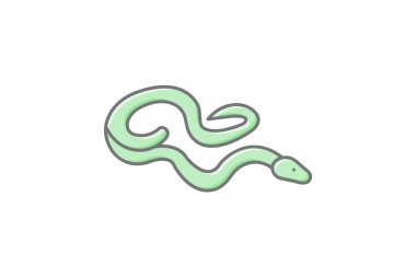 Kırmızı Kuyruklu Boa, vektör, piksel mükemmel, illüstratör dosyası