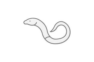 Bacaksız Kertenkele, vektör, piksel mükemmel, illüstratör dosyası