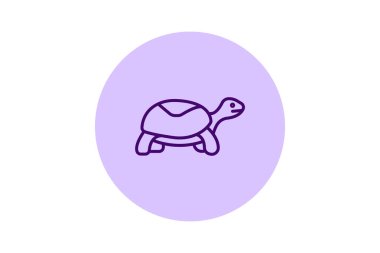 Kutu Kaplumbağası, vektör, piksel mükemmel, illüstratör dosyası