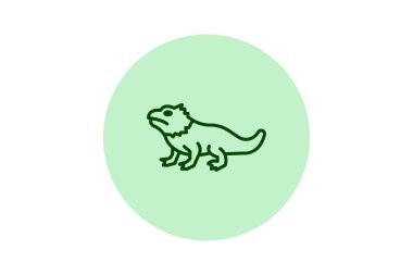 Tuatara, vektör, piksel mükemmel, çizer dosyası