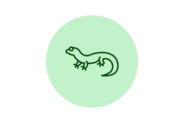 Şişman Kuyruklu Gecko, vektör, piksel mükemmel, illüstratör dosyası