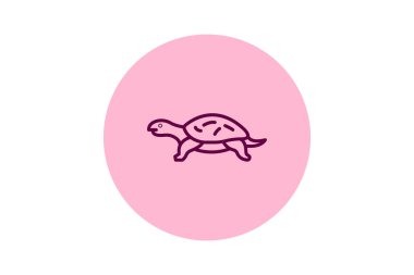 Misk Kaplumbağası, vektör, piksel mükemmel, illüstratör dosyası