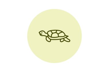 Çamur Kaplumbağa, vektör, piksel mükemmel, illüstratör dosyası