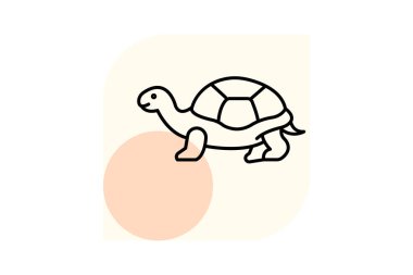 Sulcata Kaplumbağa, vektör, piksel mükemmel, illüstratör dosyası