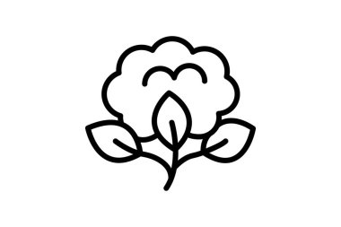 Organik Cotton Alanı, vektör, piksel mükemmel, illüstratör dosyası