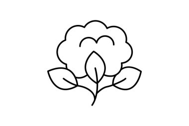 Organik Cotton Alanı, vektör, piksel mükemmel, illüstratör dosyası