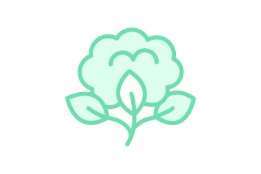 Organik Cotton Alanı, vektör, piksel mükemmel, illüstratör dosyası