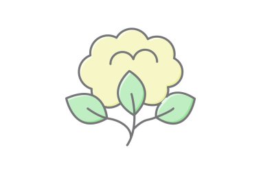 Organik Cotton Alanı, vektör, piksel mükemmel, illüstratör dosyası