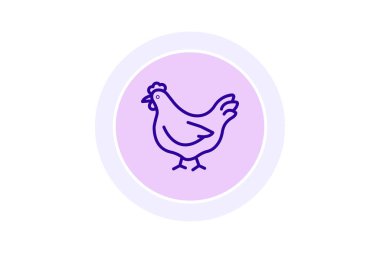 Organik Çiftlikte Tavuk, vektör, piksel mükemmel, illüstratör dosyası