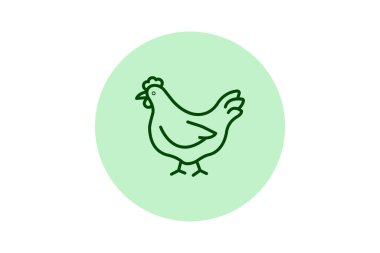 Organik Çiftlikte Tavuk, vektör, piksel mükemmel, illüstratör dosyası