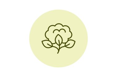 Organik Cotton Alanı, vektör, piksel mükemmel, illüstratör dosyası