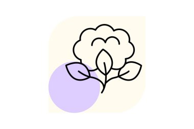 Organik Cotton Alanı, vektör, piksel mükemmel, illüstratör dosyası