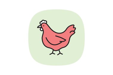 Organik Çiftlikte Tavuk, vektör, piksel mükemmel, illüstratör dosyası