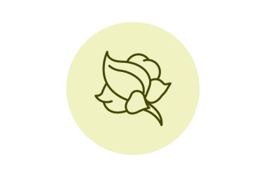 Çiçek yaprağı, vektör, piksel mükemmel, illüstratör dosyası