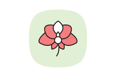 Orkide Çiçeği, vektör, piksel mükemmel, illüstratör dosyası