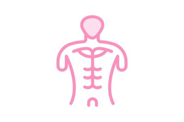 Anatomi Modeli, vektör, piksel mükemmel, illüstratör dosyası