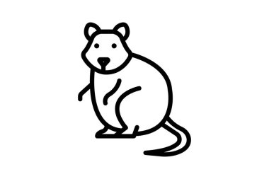 Quokka, vektör, piksel mükemmel, illüstratör dosyası