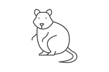 Quokka, vektör, piksel mükemmel, illüstratör dosyası