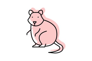 Quokka, vektör, piksel mükemmel, illüstratör dosyası