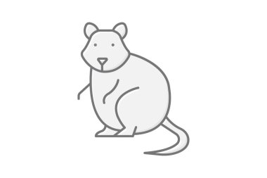 Quokka, vektör, piksel mükemmel, illüstratör dosyası