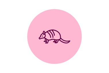 Armadillo, vektör, piksel mükemmel, illüstratör dosyası