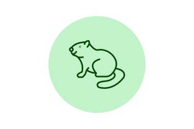 Kunduz, vektör, piksel mükemmel, illüstratör dosyası