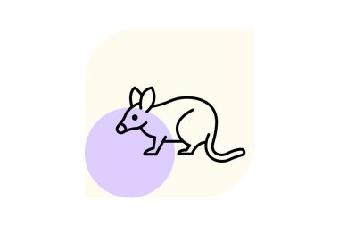 Bandicoot, vektör, piksel mükemmel, illüstratör dosyası