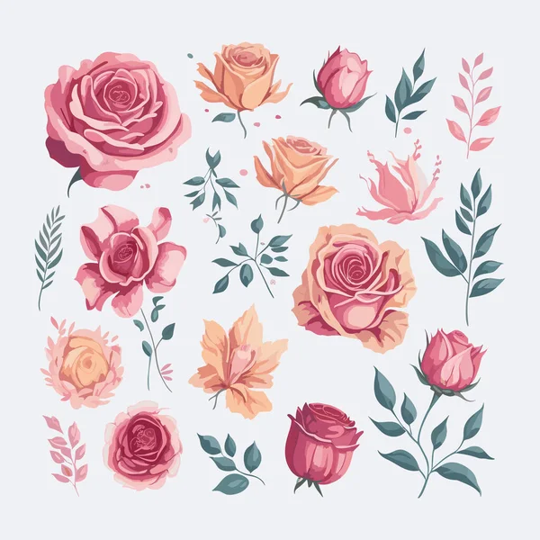 Set of hand drawn roses and leaves. Illustration in cartoon style.