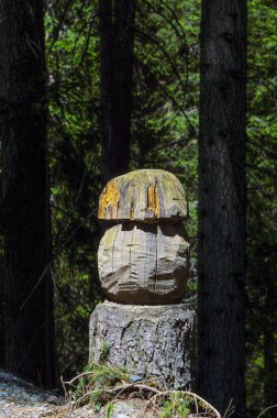Alp Dağları 'nda yürüyün ve İsviçre' nin en kaliteli fotoğraflarını saklayın.