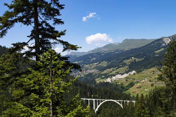 Spacer Alpejskich Górach Rezerwacie Szwajcarii Wysokiej Jakości Zdjęcie — Zdjęcie stockowe