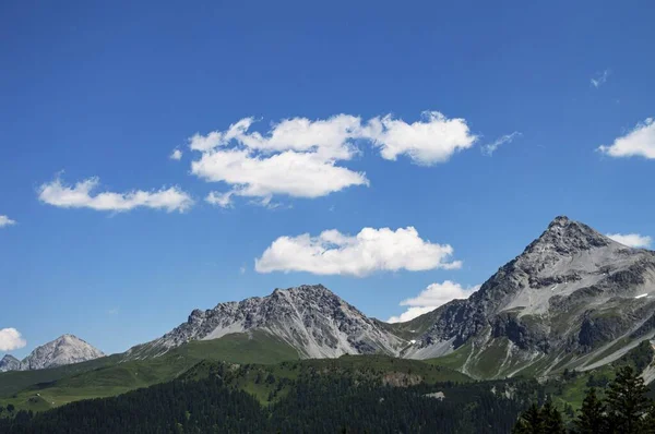 Procházka Alpskými Horami Rezervací Švýcarska Kvalitní Fotografie — Stock fotografie