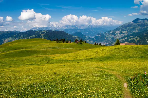 Boeiend Zwitsers Bergavontuur Ontdek Besneeuwde Toppen Omhels Opwindend Creëer Onvergetelijke — Stockfoto