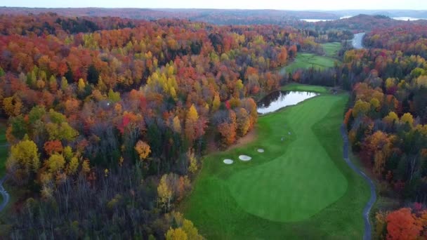 Drone View Golf Course Fall Colors — Stockvideo